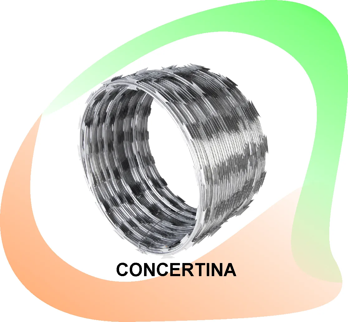 Concertina